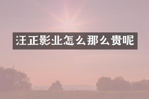 汪正影业怎么那么贵呢