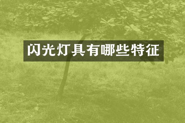 闪光灯具有哪些特征