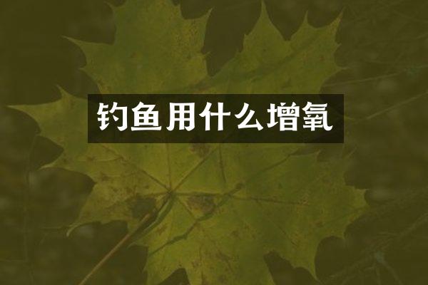 钓鱼用什么增氧