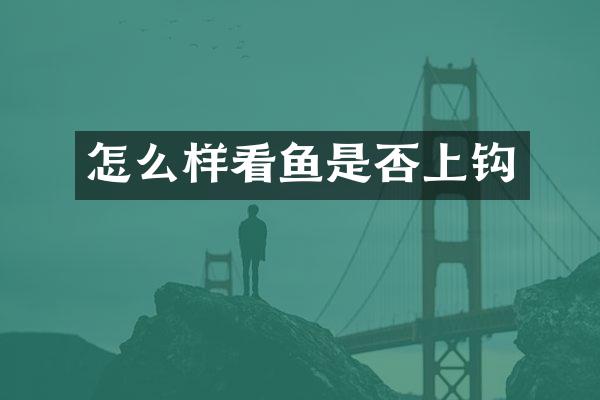 怎么样看鱼是否上钩