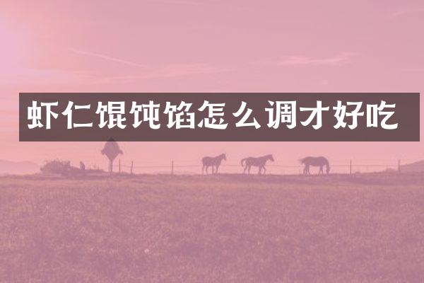 虾仁馄饨馅怎么调才好吃