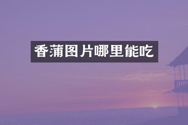 香蒲图片哪里能吃
