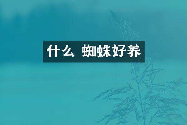 什么 蜘蛛好养