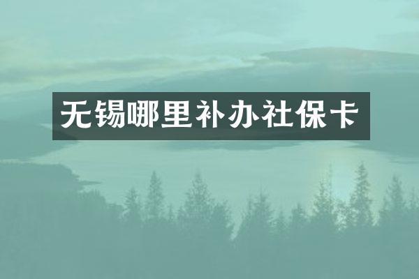 无锡哪里补办社保卡