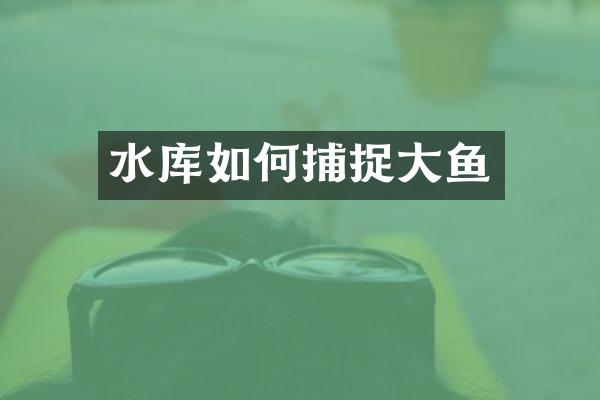 水库如何捕捉大鱼