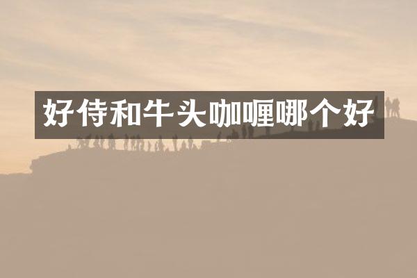 好侍和牛头咖喱哪个好