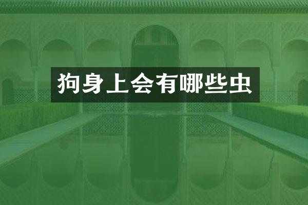 狗身上会有哪些虫