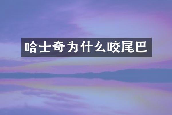 哈士奇为什么咬尾巴