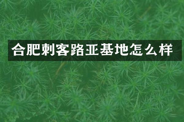 合肥刺客路亚基地怎么样