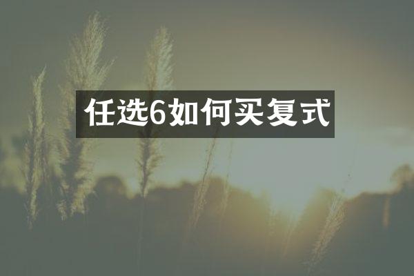 任选6如何买复式