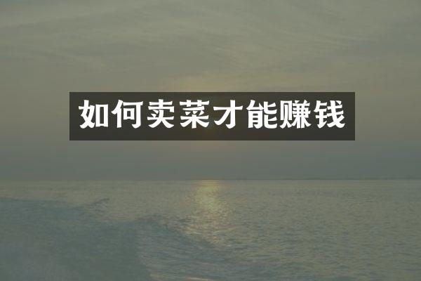 如何卖菜才能赚钱
