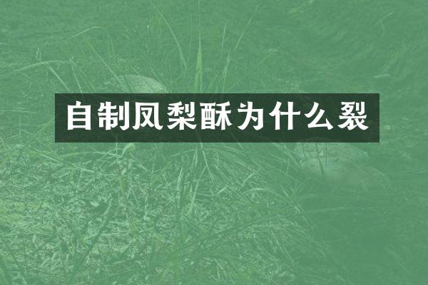 自制凤梨酥为什么裂