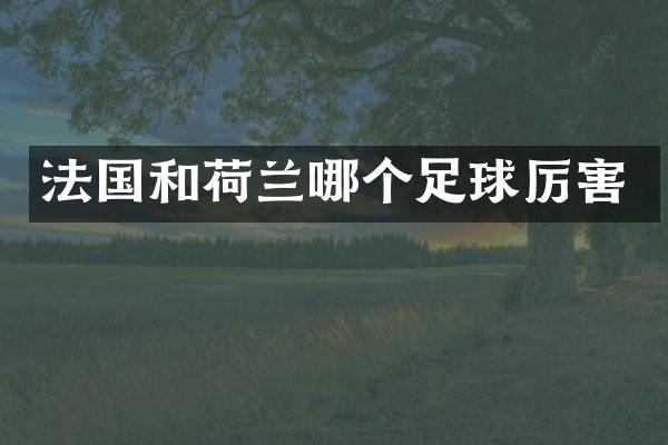 法国和荷兰哪个足球厉害