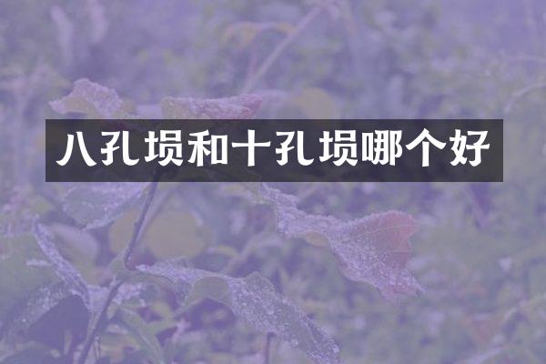 八孔埙和十孔埙哪个好