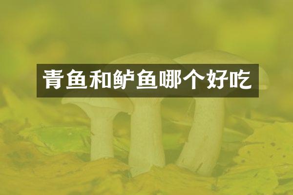 青鱼和鲈鱼哪个好吃