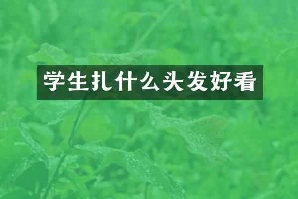 学生扎什么头发好看