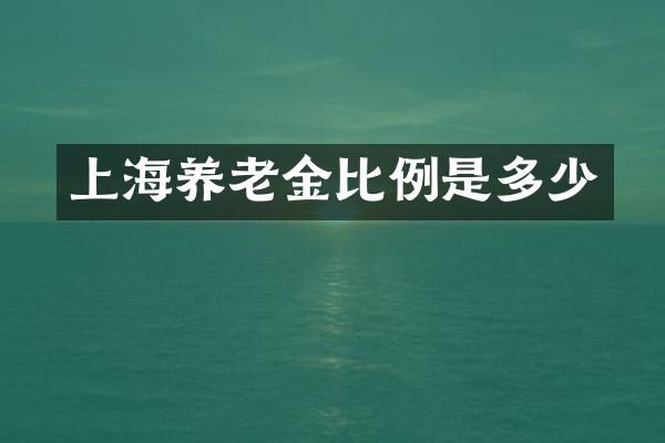 上海养老金比例是多少