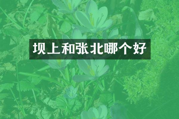 坝上和张北哪个好