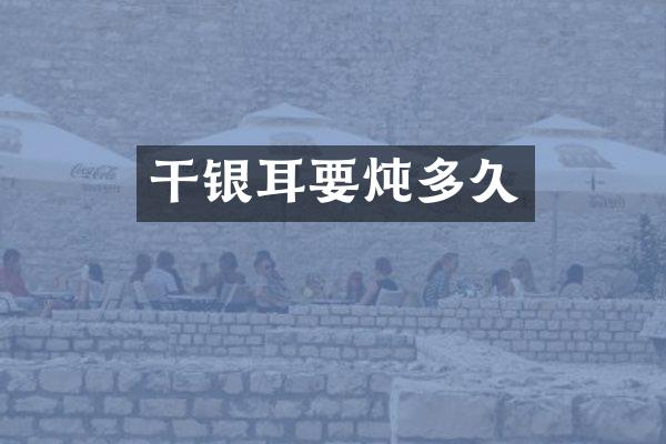 干银耳要炖多久