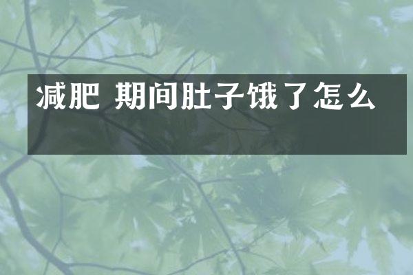 减肥 期间肚子饿了怎么办