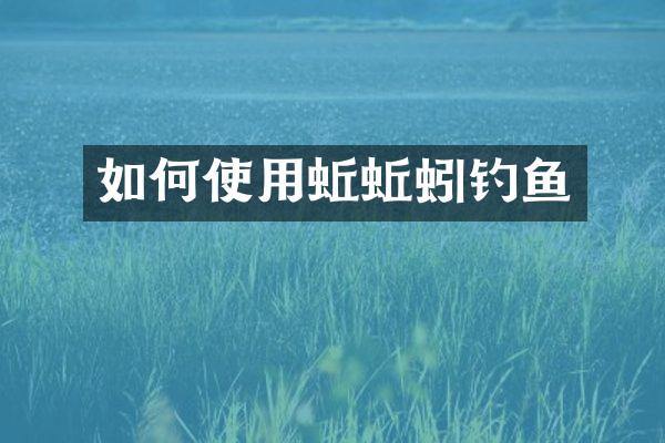 如何使用蚯蚯蚓钓鱼