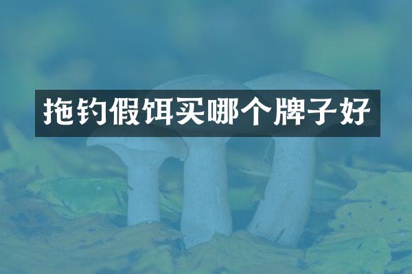 拖钓假饵买哪个牌子好