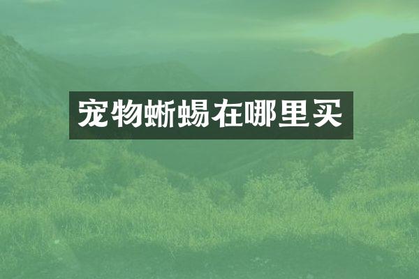 宠物蜥蜴在哪里买