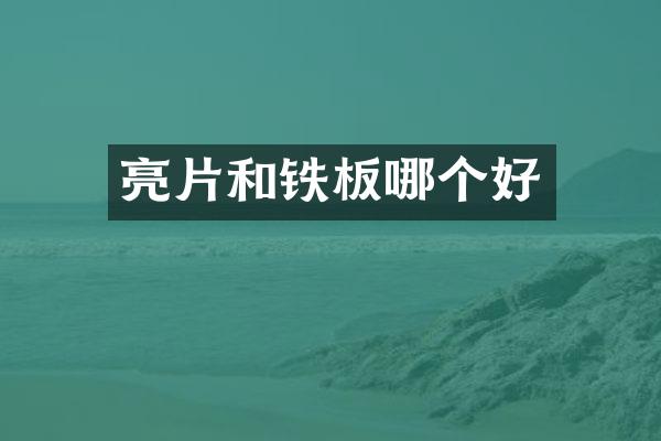 亮片和铁板哪个好