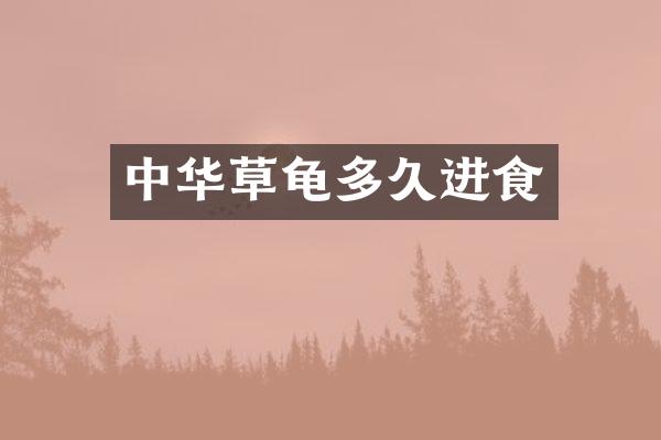 中华草龟多久进食