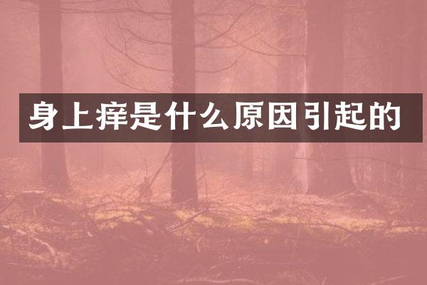 身上痒是什么原因引起的