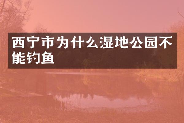 西宁市为什么湿地公园不能钓鱼