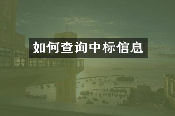 如何查询中标信息