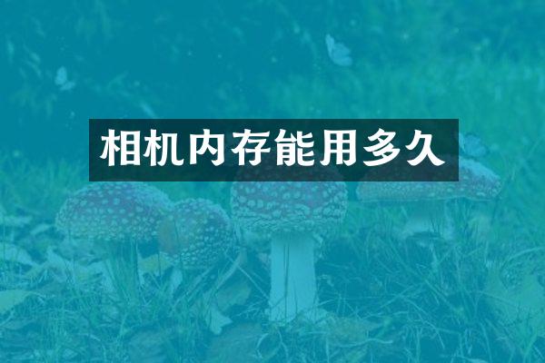 相机内存能用多久