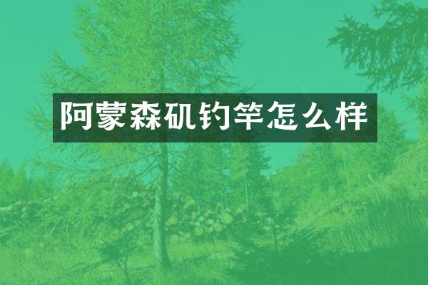 阿蒙森矶钓竿怎么样