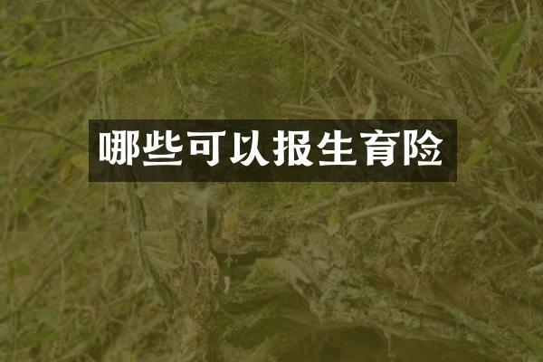 哪些可以报生育险