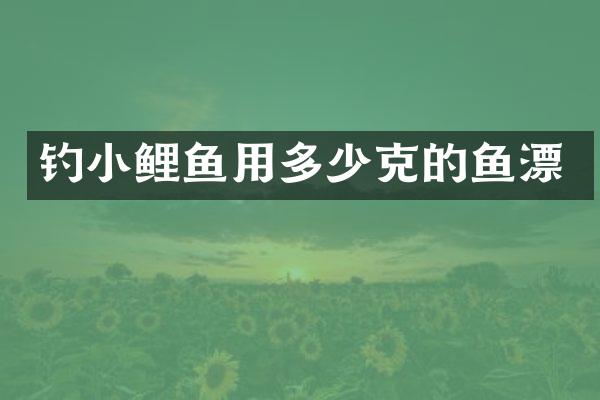 钓小鲤鱼用多少克的鱼漂