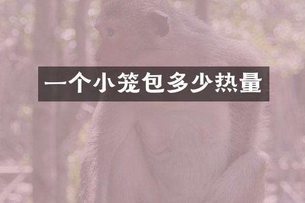 一个小笼包多少热量
