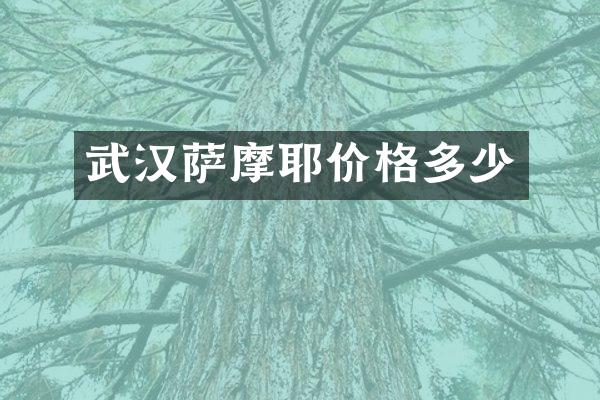 武汉萨摩耶价格多少