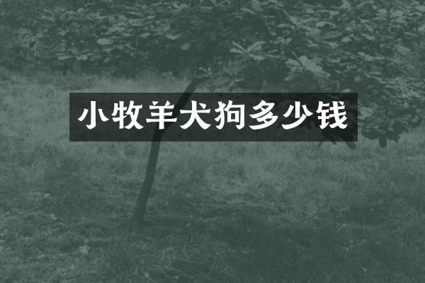 小牧羊犬狗多少钱