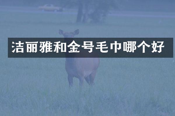 洁丽雅和金号毛巾哪个好