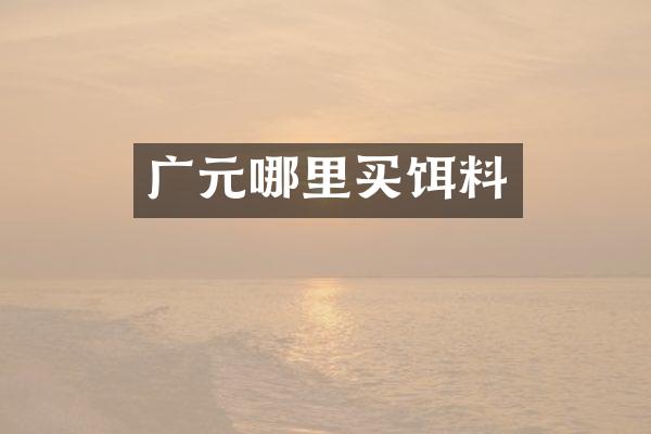 广元哪里买饵料