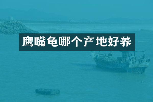 鹰嘴龟哪个产地好养