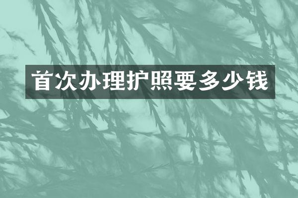 首次办理护照要多少钱
