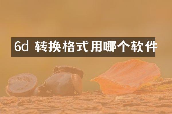 6d 转换格式用哪个软件