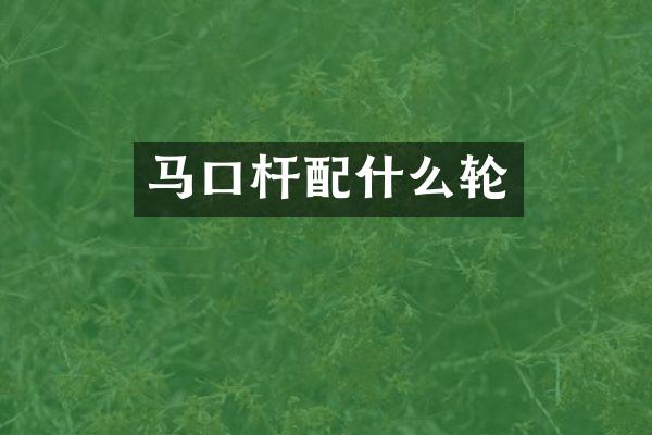 马口杆配什么轮