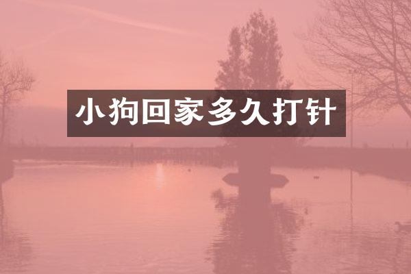 小狗回家多久打针