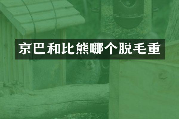 京巴和比熊哪个脱毛重