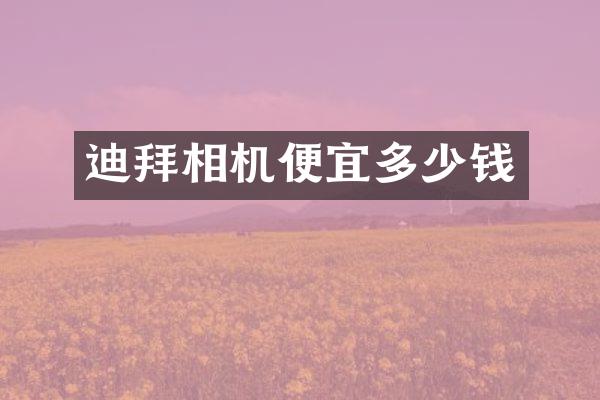 迪拜相机便宜多少钱