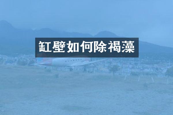 缸壁如何除褐藻