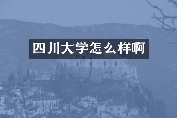 四川大学怎么样啊